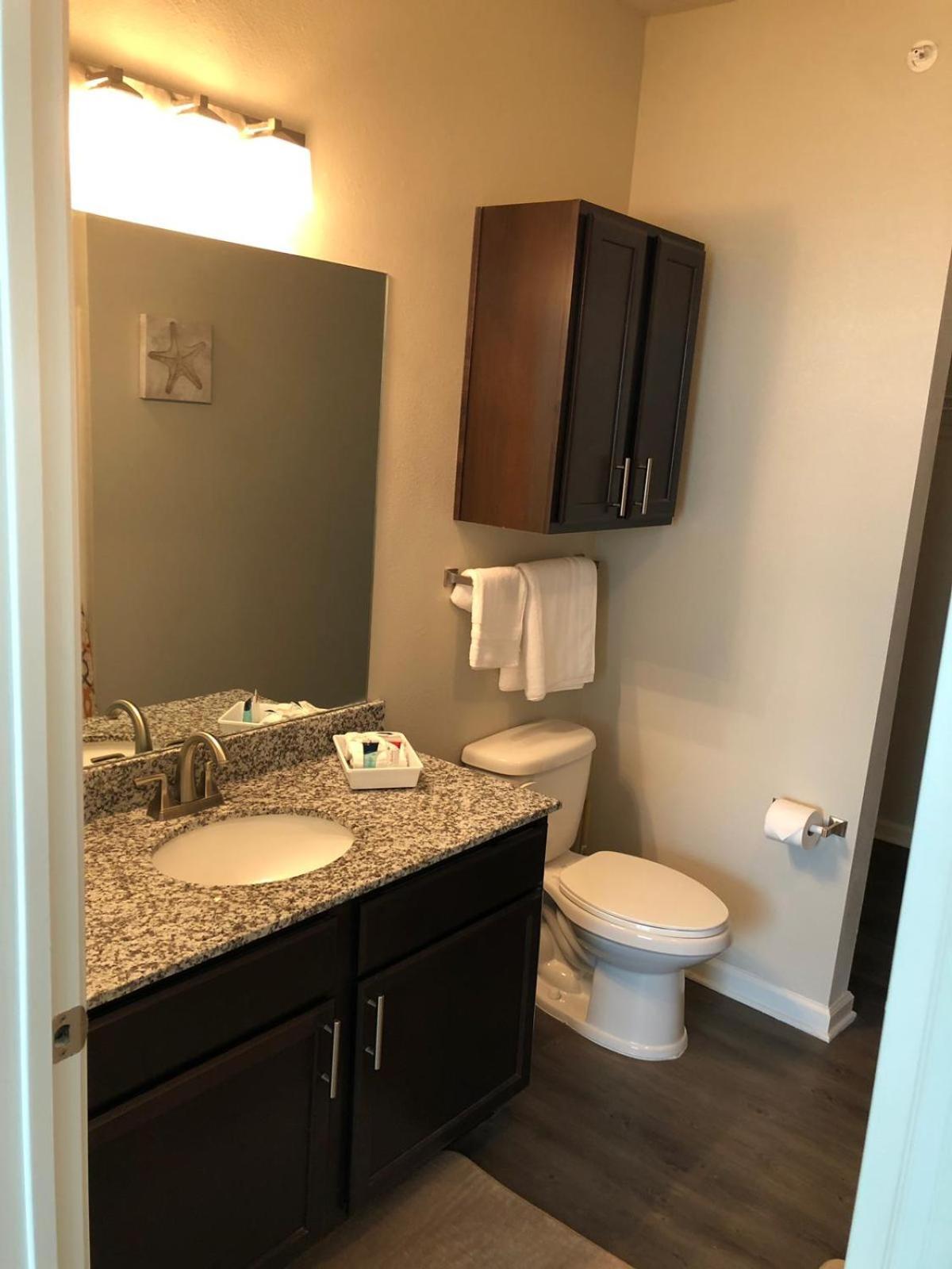 Spacious Furnished Style Apartment Tomball